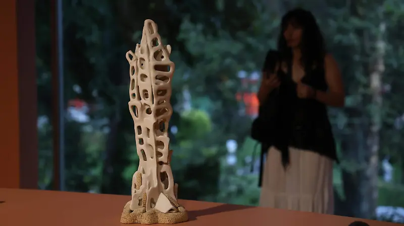 GERDA GRUBER ENTREGA MEDALLA BELLAS ARTES romina solis